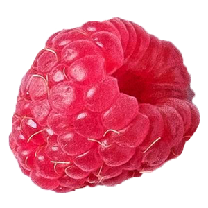 Whole raspberry